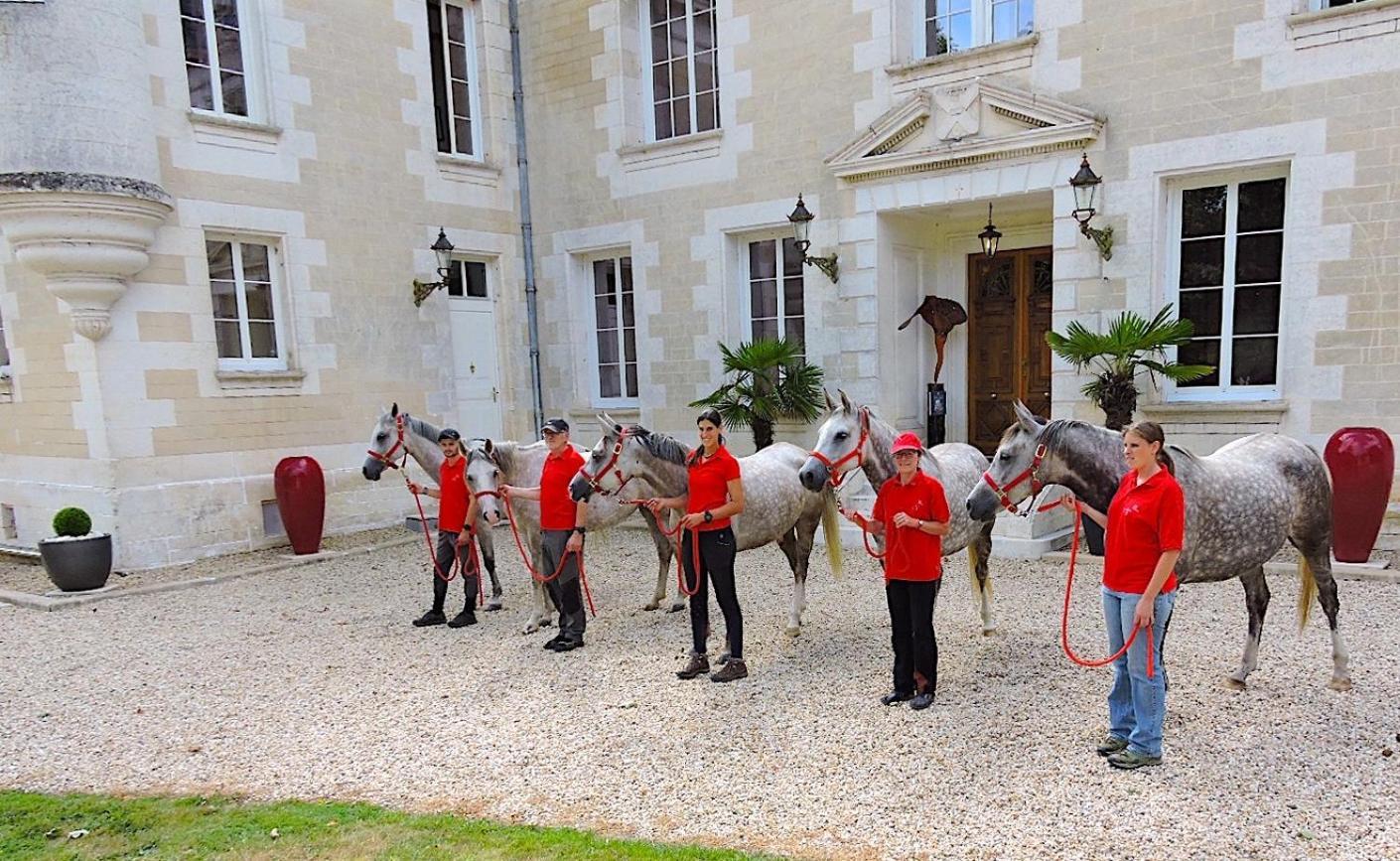 Chateau De Bellevue B&B Et Appartements Avec Piscine Chauffee Et Chambres Partout Climatisees Saint-Avit  Eksteriør bilde