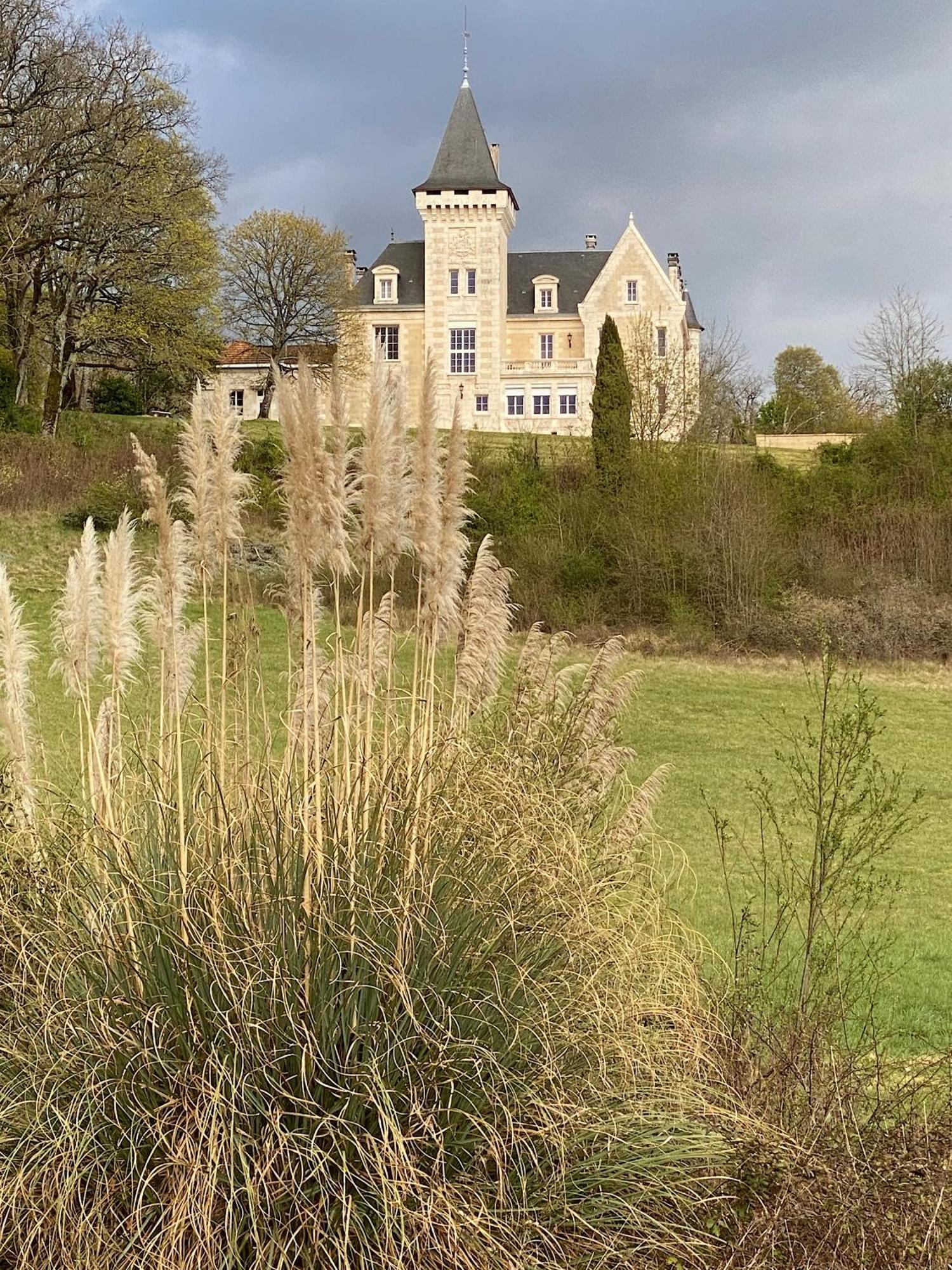 Chateau De Bellevue B&B Et Appartements Avec Piscine Chauffee Et Chambres Partout Climatisees Saint-Avit  Eksteriør bilde